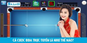 Cá Cược Bida : Cẩm Nang Toàn Diện Cho Người Chơi Mới