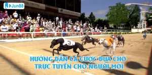 Jun88 – Cá Cược Đua Chó: Một Trải Nghiệm Thú Vị